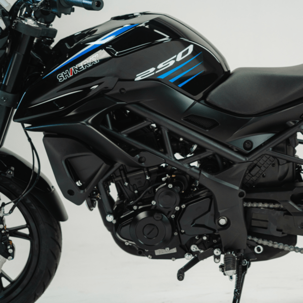 FLASH 250F - Image 10