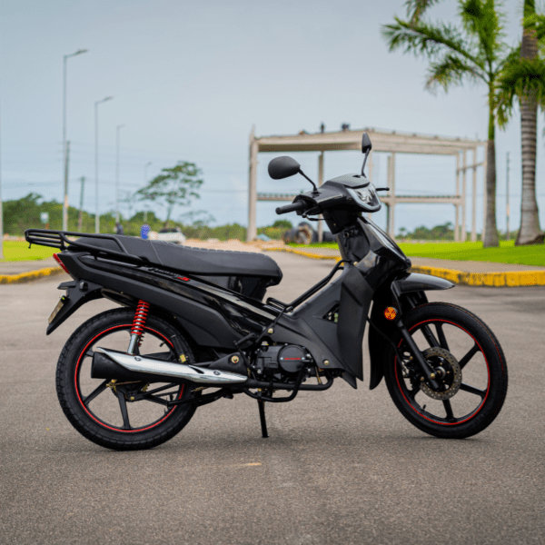 PHOENIX 50 EFI