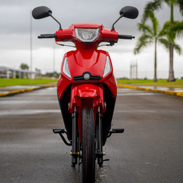 PHOENIX S 50